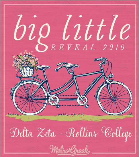 Delta Zeta Big Little Reveal T-shirt