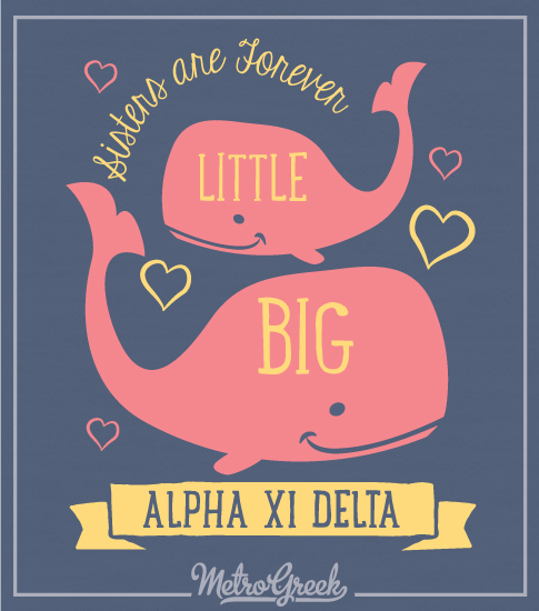 Big Little Reveal Shirt With Whales
